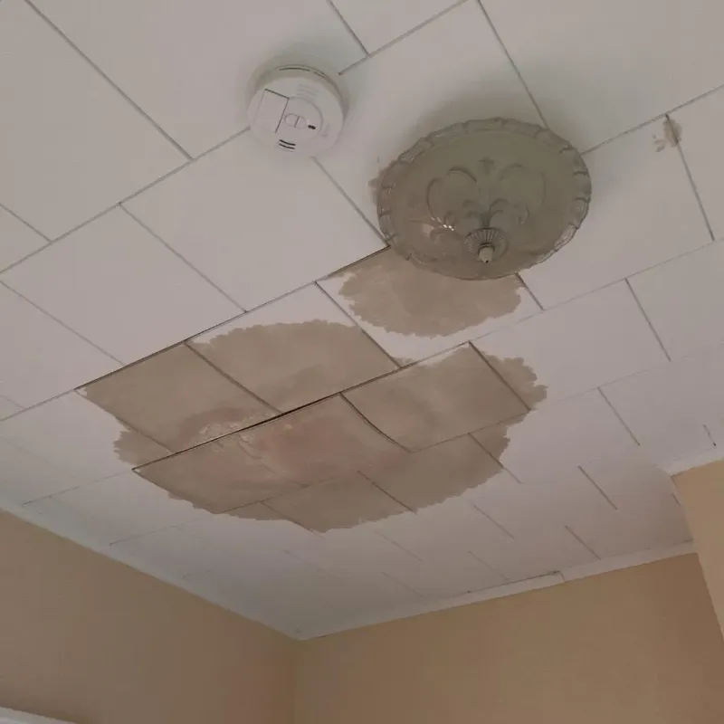 Ceiling Water Damage Repair in Sunrise Lake, PA