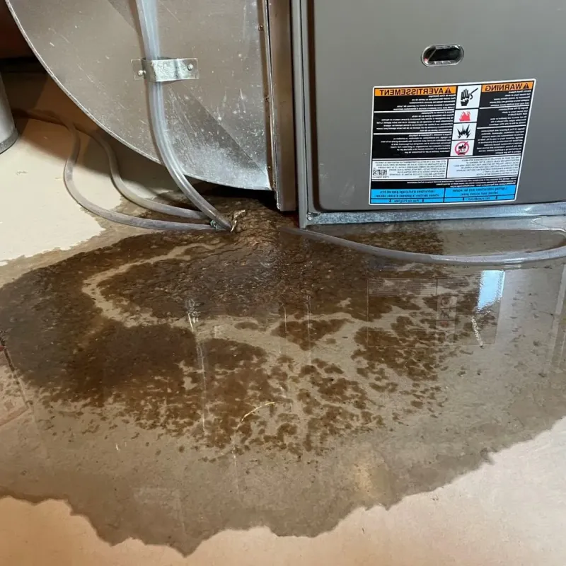 Pipe Burst and Leak Restoration in Sunrise Lake, PA