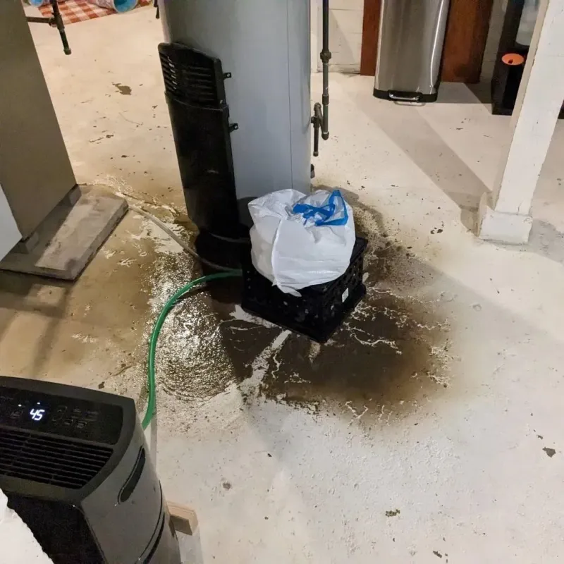 Sewage Backup Cleanup Service in Sunrise Lake, PA